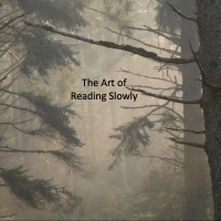 the-art-of-reading-slowly.com